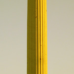 mini-columna3